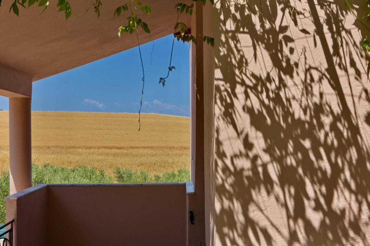 Vintage In Halkidiki Nea Fokea
